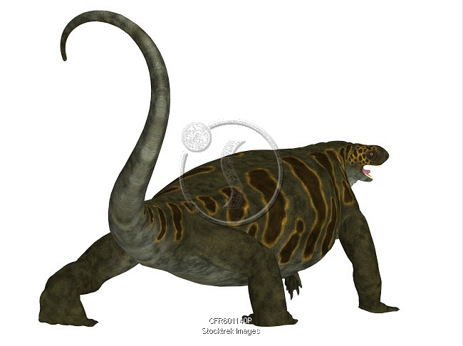 Dinosaur Rear Cotylorhynchus dinosaur, rear view. | Stocktrek Images
