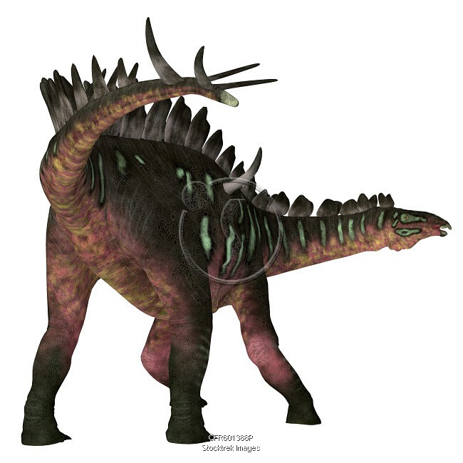 Dinosaur Rear Miragaia dinosaur, rear view. | Stocktrek Images