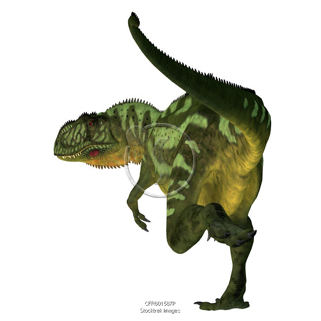 Dinosaur Rear Yangchuanosaurus dinosaur, rear view on white background. | Stocktrek ...