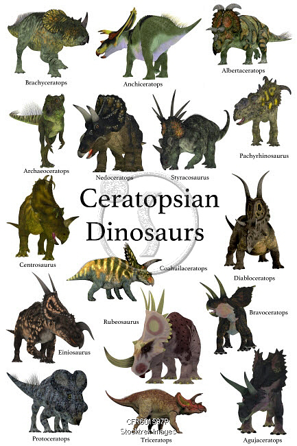 types of ceratops dinosaur