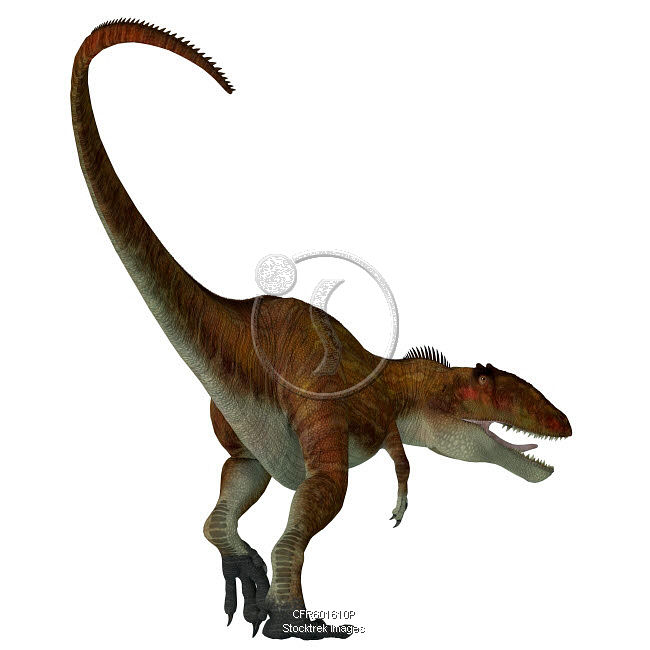 Dinosaur Rear Carcharodontosaurus dinosaur, rear view on white background ...