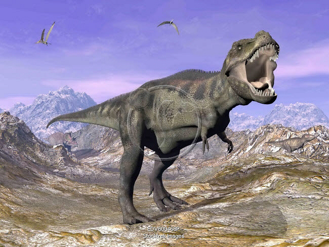 Raurus Rex Tyrannosaurus rex roaring in nature by day. | Stocktrek Images