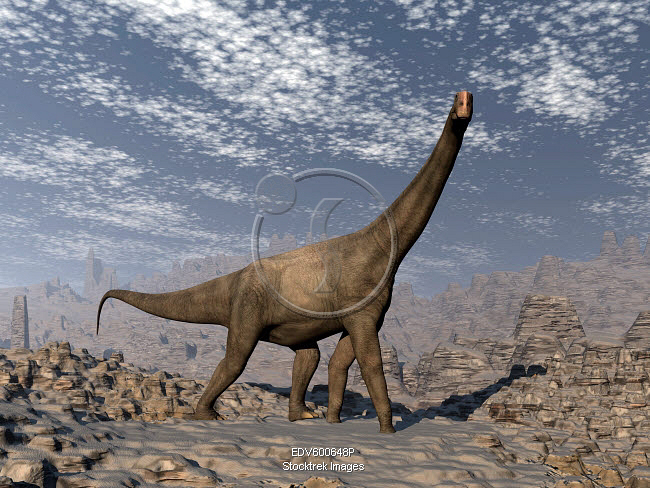 Brontomerus dinosaur walking on rough terrain. | Stocktrek Images
