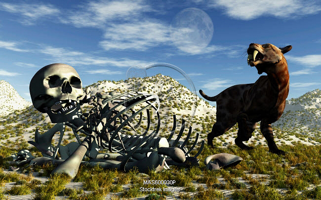 https://www.stocktrekimages.com/media/mas600030p-A-Smilodon-saber-toothed-cat-discovers-human.jpg?utm_source=chatgpt.com