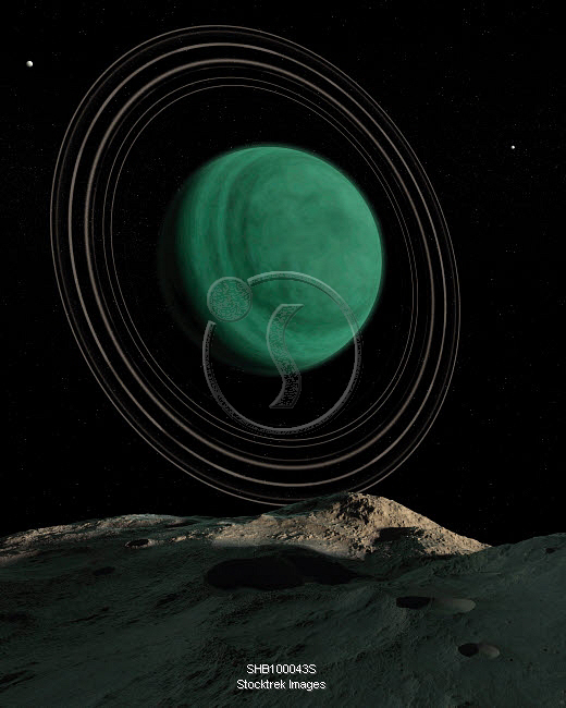 My Image 65