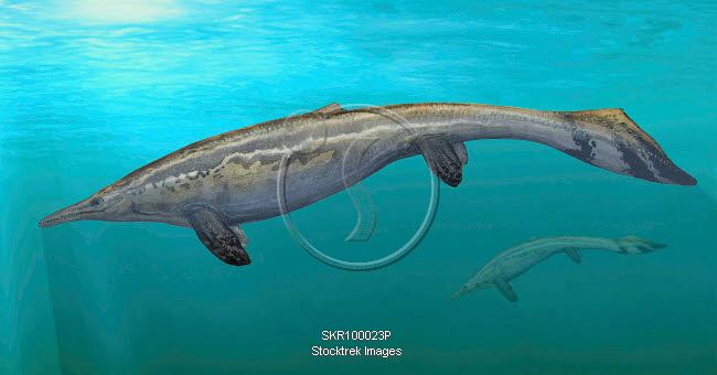 prehistoric swimming dinosaur