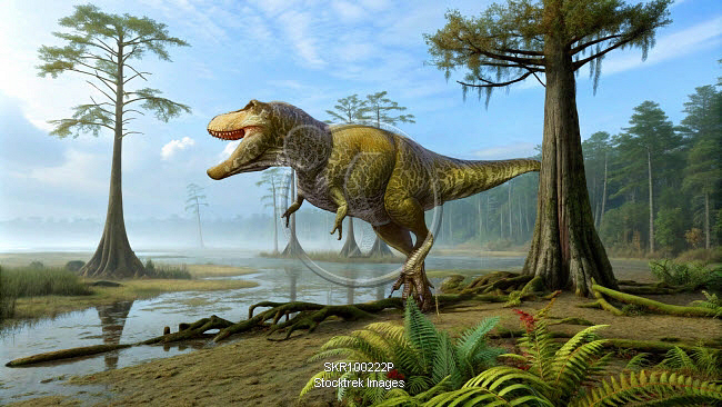 Tyrannosaurus rex dinosaur hunting the prehistoric wetlands