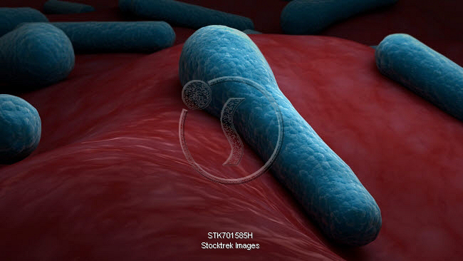 Conceptual biomedical illustration of botulism. | Stocktrek Images